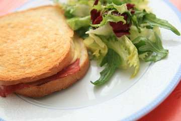 croque salade