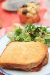 Fototapeta na wymiar croque salade