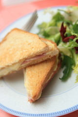 croque salade