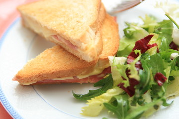 croque salade