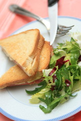 croque salade