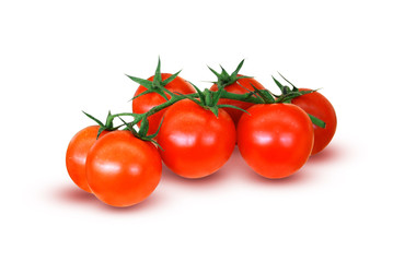 Domates Salkımı
