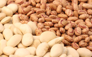 Two types of uncooked beans.