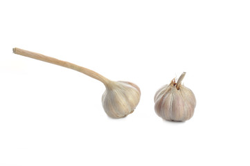 Fresh garlic