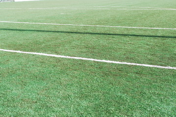 Obraz premium erba