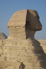 sphinx