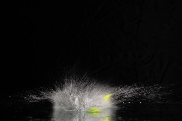 splash