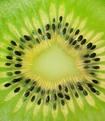 Kiwi fruit (macro)