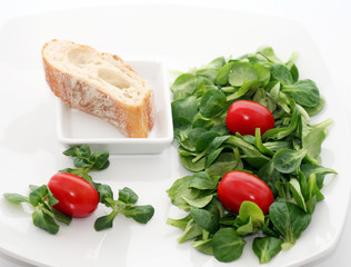 Feldsalat