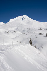 Majestic View of Mount Hood in Oregon, USA.