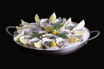 Muscheln