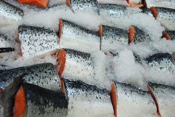Pieces of a salmon with ice on a shop counter