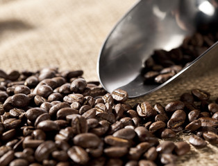cuillère de grain de café