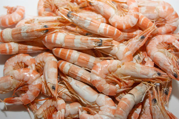 crevettes