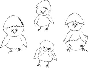 Ostern, Küken, Osterküken, Ostereier, Ei, Eier