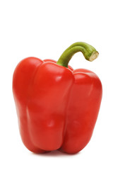 Bulgarian pepper isolated on white background