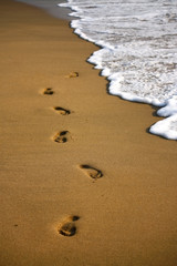 footstep on the sandy indian beach