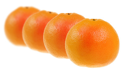 Fresh oranges isolated on white background
