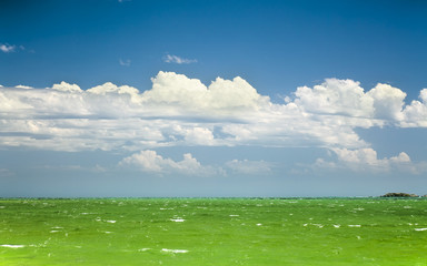 Obraz na płótnie Canvas green ocean
