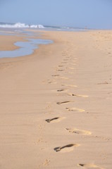 Promenade sur la plage
