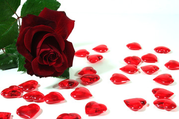 Rote Rose und rote Herzen als Hintergrund