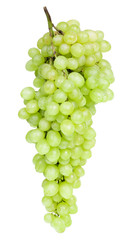 grape on white background