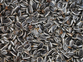 Sunflower Seeds