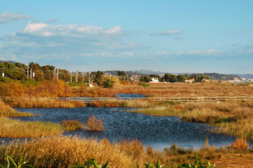 wetlands Torredembarra, Tarragona