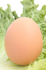 Easter fresh egg with green salad