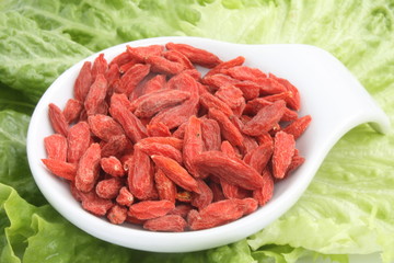 Goji berry, Lycium barbarum  / 枸杞
