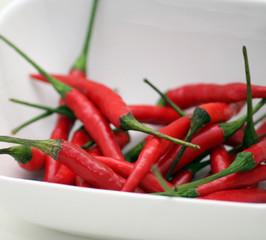 Frische chilies