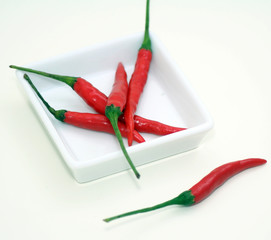 Frische Chilies
