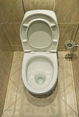 Home flush toilet top view