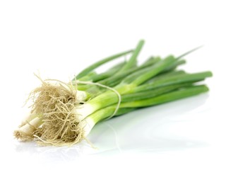 Spring Onions