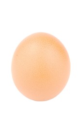 Close-up of a egg on white