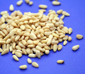 Pinienkerne