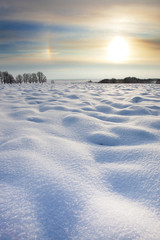 Winter landscape - 20389502