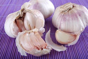 Gousses d'ail bio (Allium)