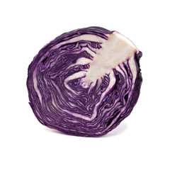 cabbage