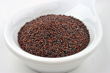 some organic mustard seed in a white bowl