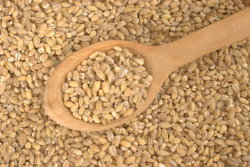 Peeled barley (groats) with a wooden spoon