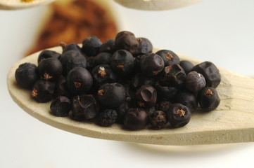 Bacche di ginepro - Juniperus communis