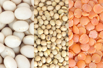 Red lentil, soya and white beans