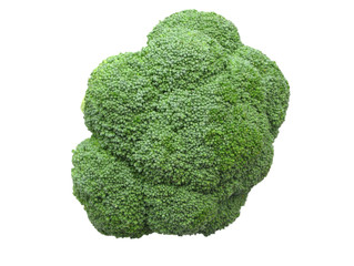 Brokkoli  isoliert vor weißem Hintergrund