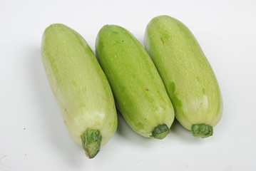 Cucurbita maxima