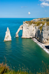 Rocky Beach in Normandy, France