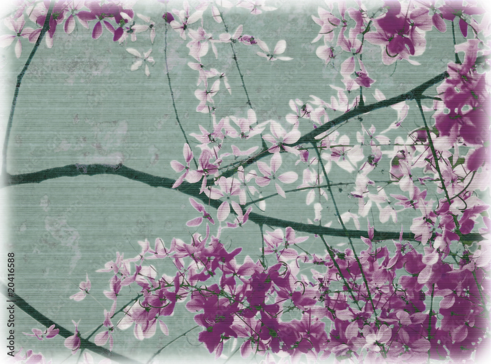 Wall mural purple and white flowers blossom