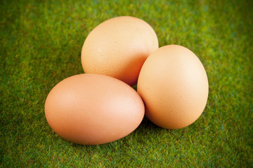 Eggs