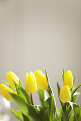blumen