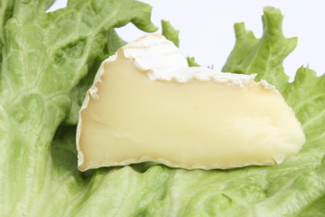 Camembert  dans une feuille de salade verte